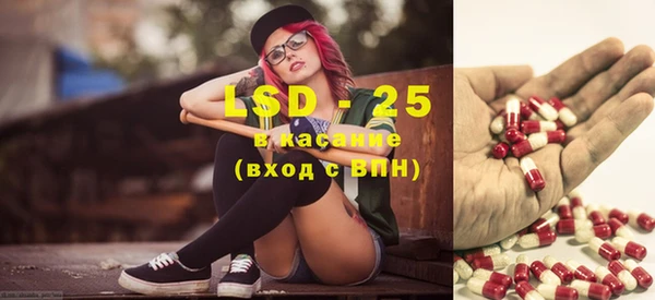 индика Козельск