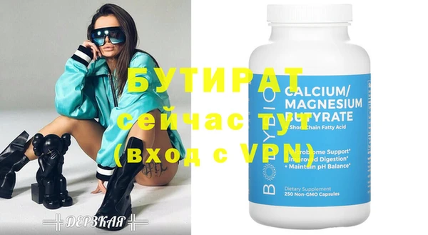 индика Козельск