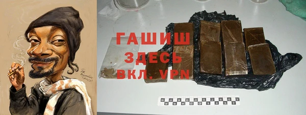 индика Козельск