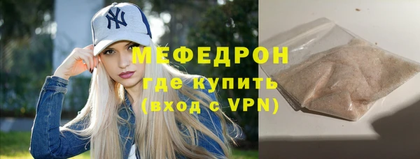 индика Козельск