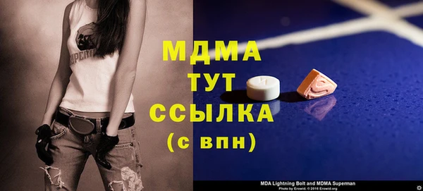 индика Козельск