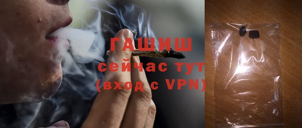 индика Козельск
