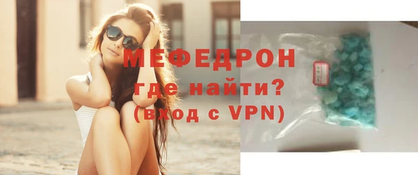 индика Козельск