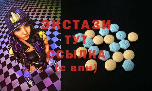индика Козельск