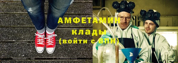 индика Козельск