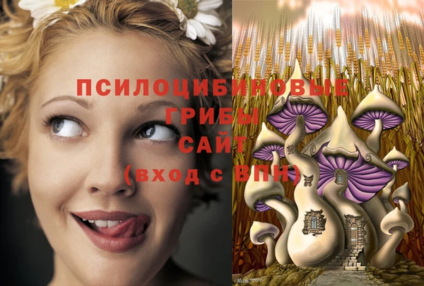индика Козельск