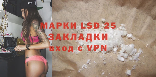 индика Козельск