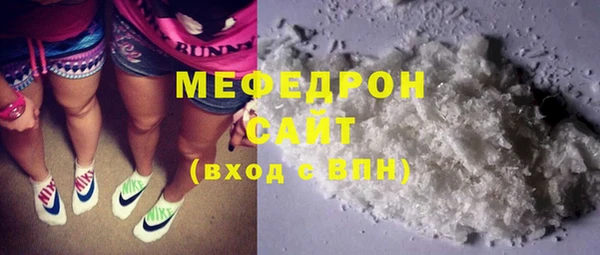 индика Козельск