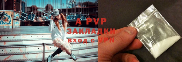индика Козельск