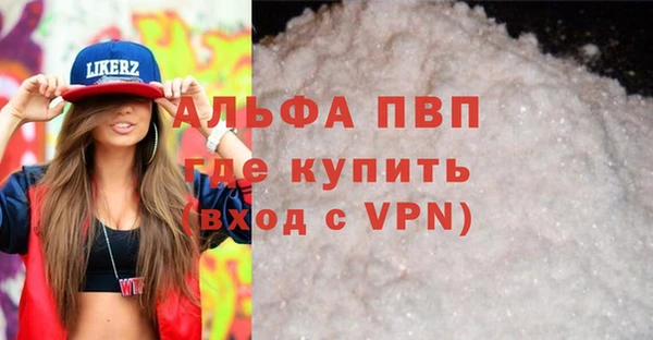 индика Козельск