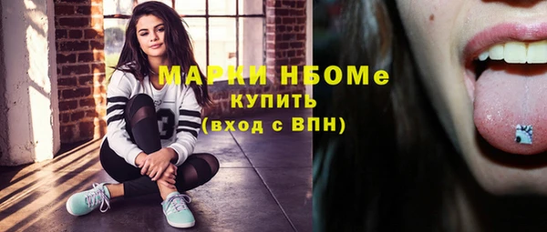 индика Козельск